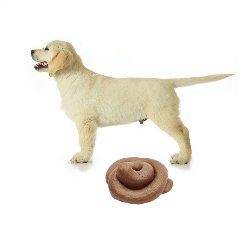 ของเล่นบีบอัดอึตลกๆ - ลูกบอลบี - Fake Poop Gag Gift บทวิจารณ์และราคา